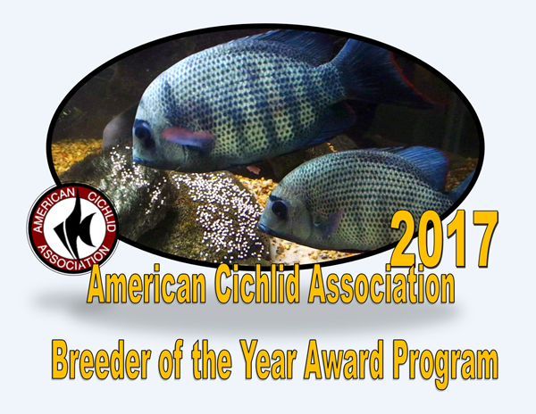 ACA breeder of the year