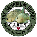 CARES