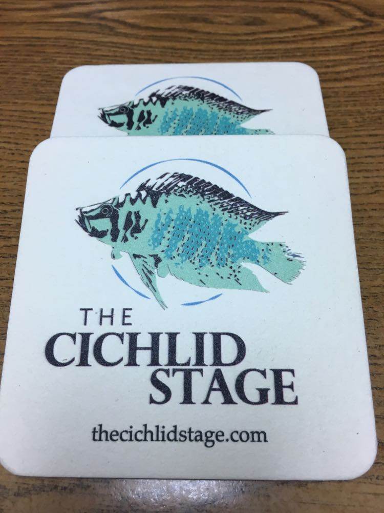 The Cichlid Stage