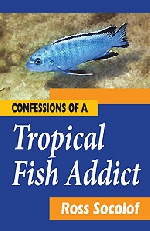 Confessions of a Tropical Fish Addict