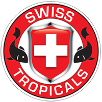 Swiss Tropicals