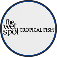The Wet Spot